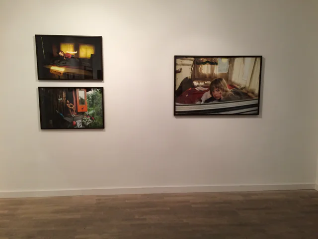 Wagenburg & Near Conscious, installation view