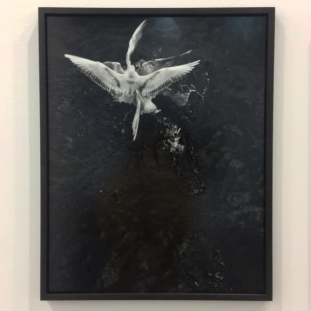 Artissima 2018, booth view