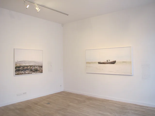 What We Want, installation view