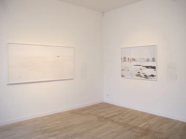 What We Want, installation view