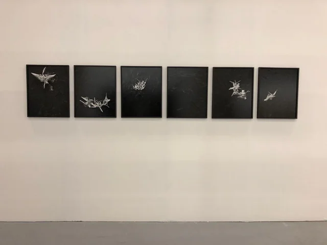 Arte Fiera 2019, booth view