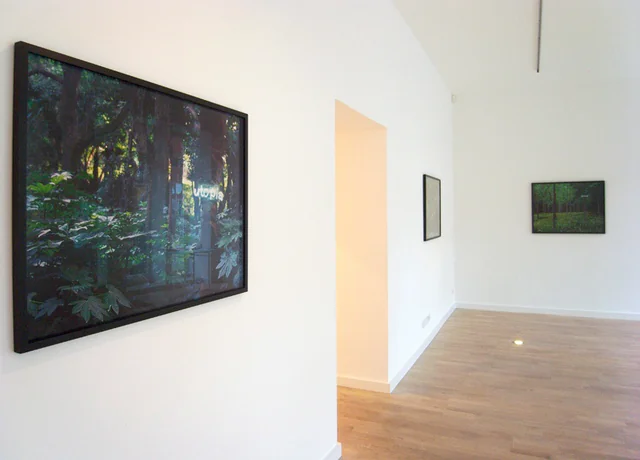 Monte Verità, installation view