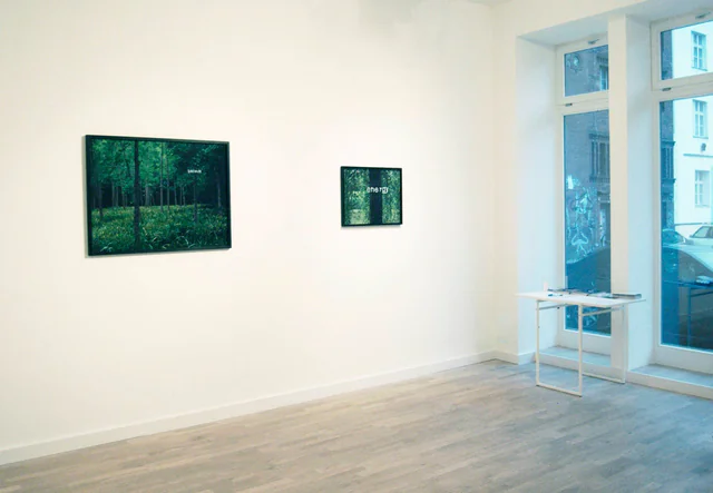 Monte Verità, installation view