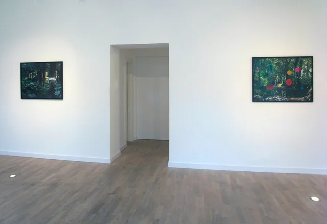 Monte Verità, installation view