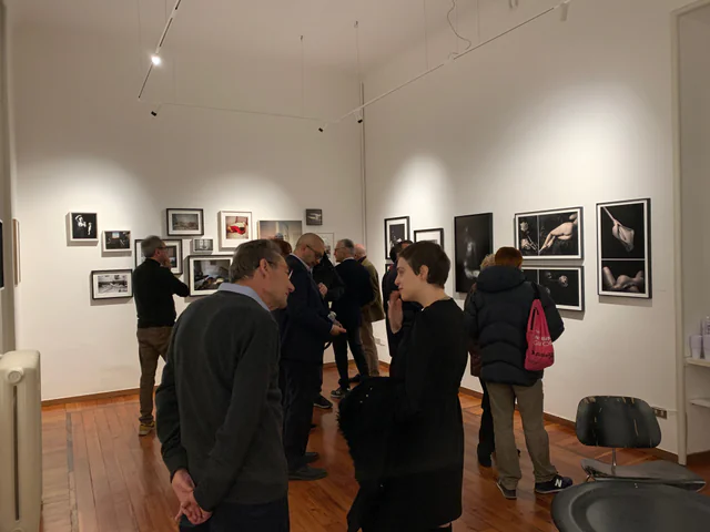Pleasure Garden, installation view