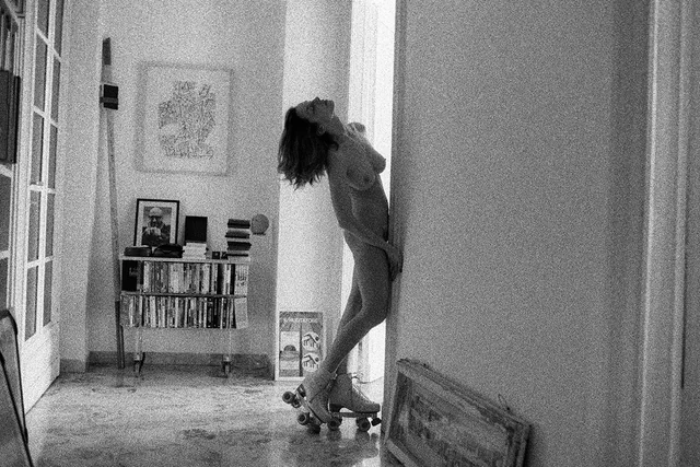 Pleasure Garden, installation view