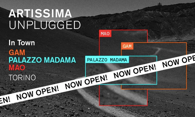 Artissima Unplugged 2020, booth view