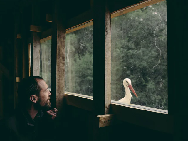 Oltre lo Sguardo, installation view