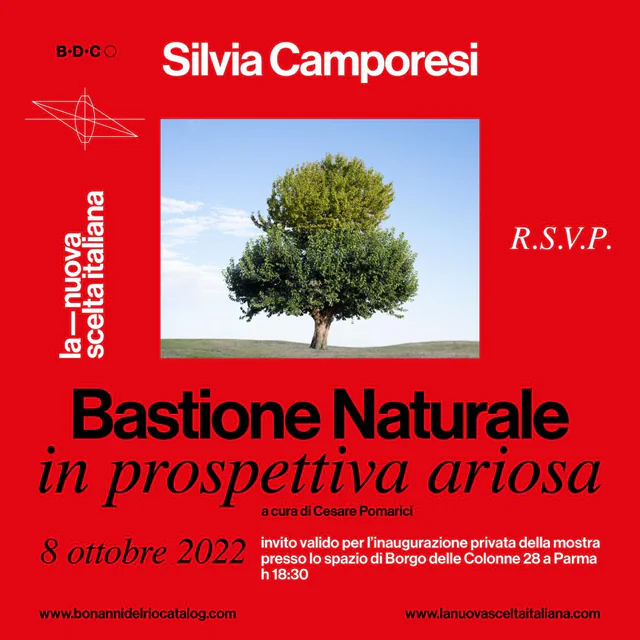 Bastione Naturale in prospettiva ariosa, Silvia Camporesi