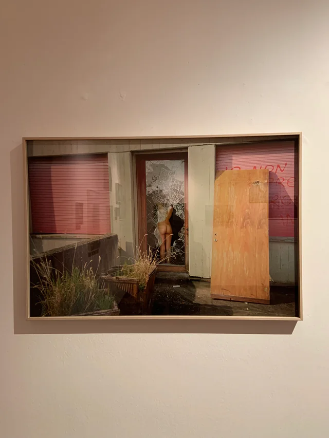 Land of Enchantment, installation view