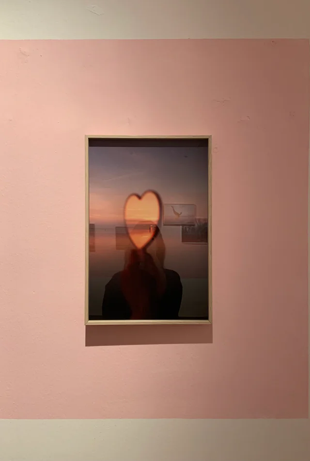 Land of Enchantment, installation view