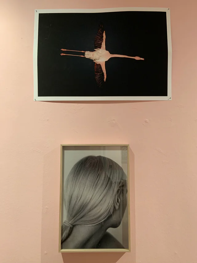 Land of Enchantment, installation view