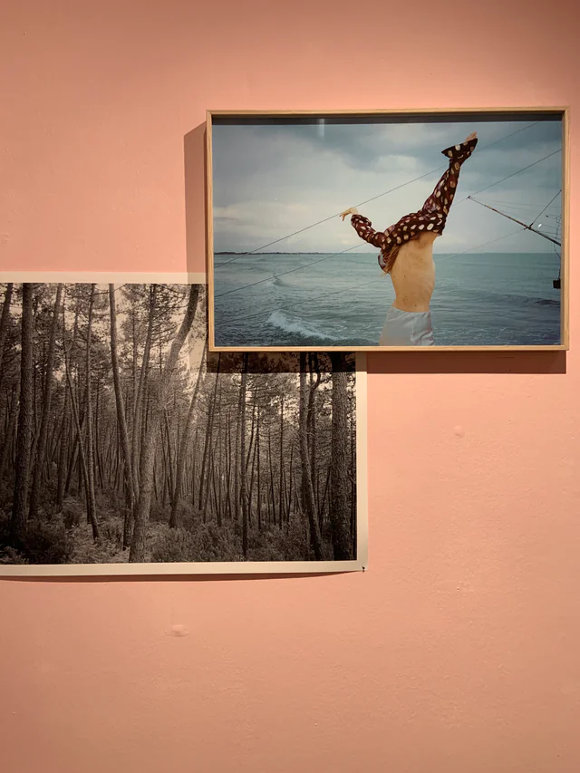 Land of Enchantment, installation view