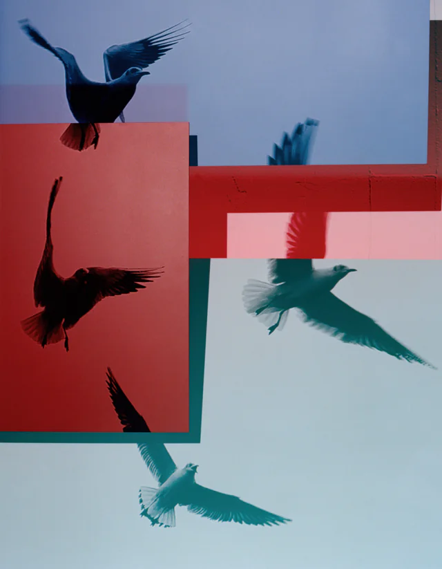 Lessons of Freedom. Notes for a trip to Iran, 1970-2023