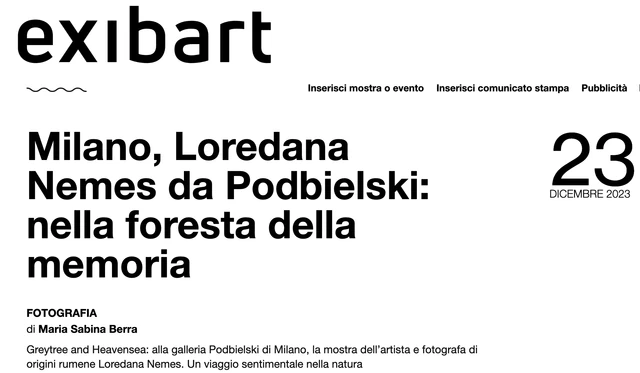 exibart article Loredana Nemes