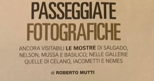 ON “la repubblica”: Loredana Nemes – greytree and heavensea