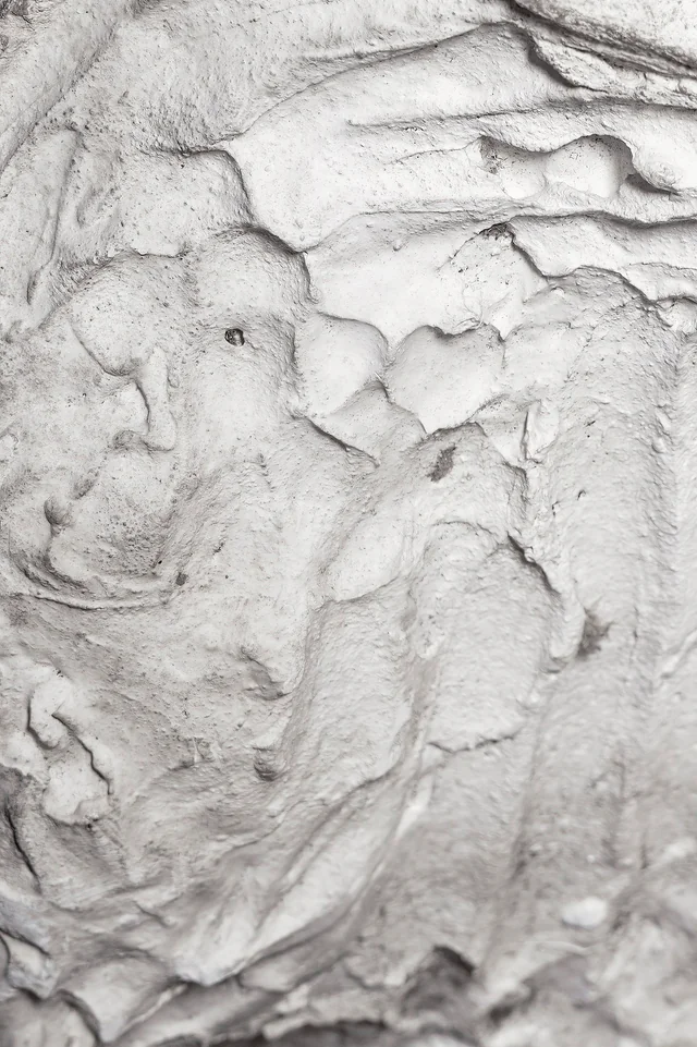 Florence Di Benedetto, Studio sulla scultura di Medardo Rosso