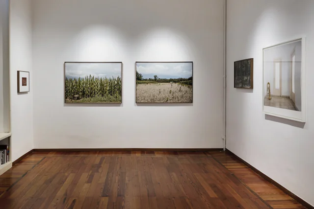 Personale, installation view