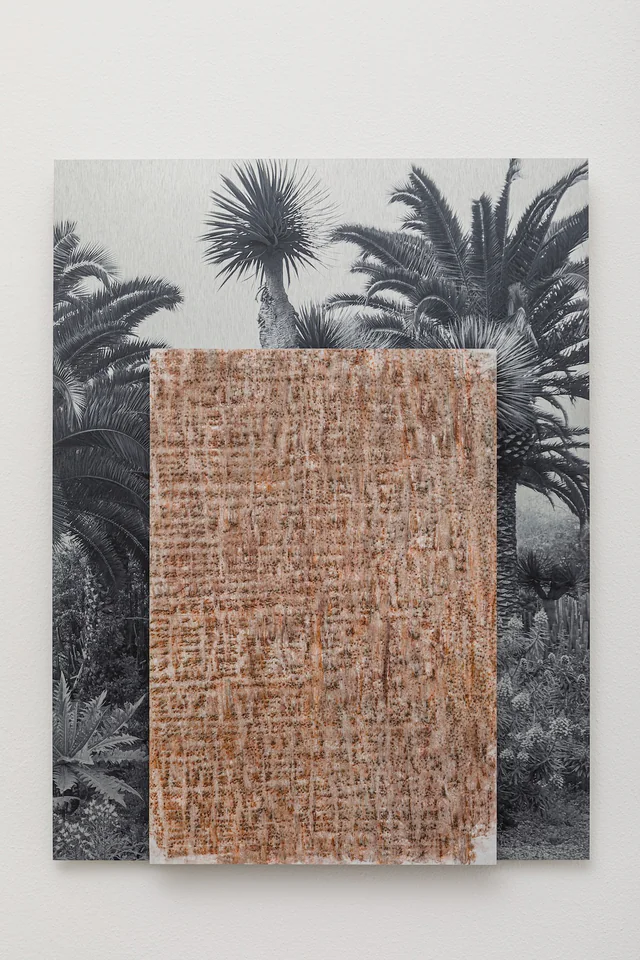 Giorgia Severi, Endemismo – Washingtonia Palm #1