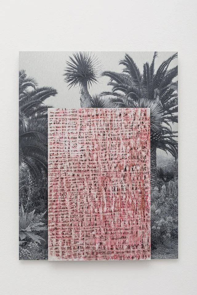 Giorgia Severi, Endemismo – Washingtonia Palm #2