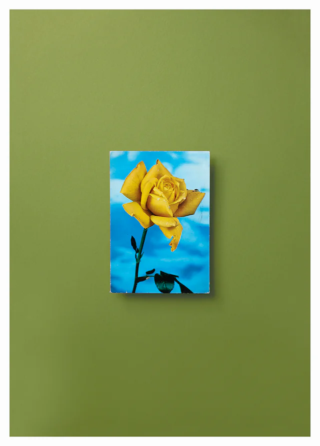 Florence Di Benedetto, A Dozen Roses #9