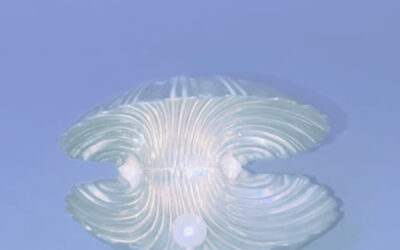 LES PETITES MADELEINES